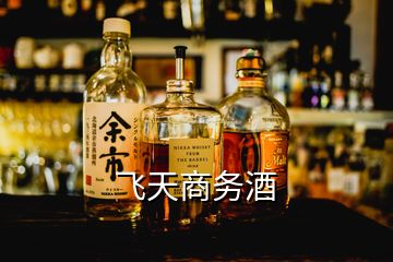 飛天商務(wù)酒