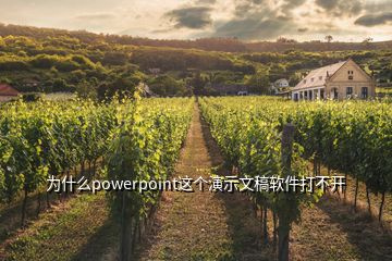  為什么powerpoint這個(gè)演示文稿軟件打不開