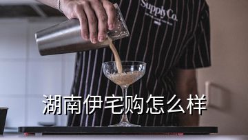 湖南伊宅購怎么樣