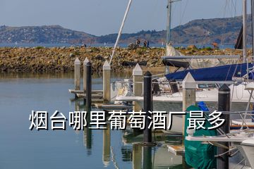 煙臺(tái)哪里葡萄酒廠最多