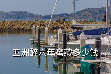 五洲醉六年窖藏多少錢