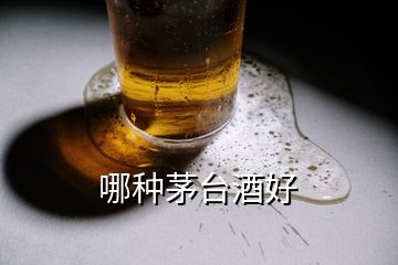 哪種茅臺酒好