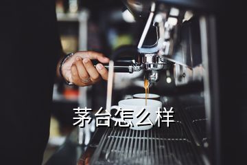 茅臺怎么樣