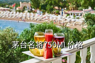 茅臺名將750ML價格