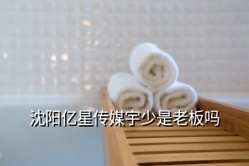 沈陽(yáng)億星傳媒宇少是老板嗎