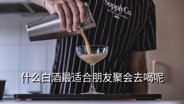 什么白酒最適合朋友聚會(huì)去喝呢