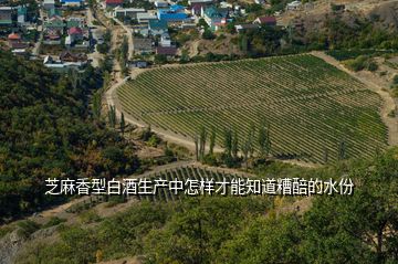 芝麻香型白酒生產(chǎn)中怎樣才能知道糟醅的水份