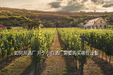 如何開酒廠 開個(gè)小白酒廠需要購買哪些設(shè)備