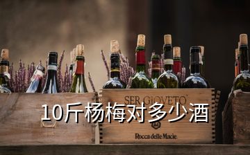 10斤楊梅對多少酒