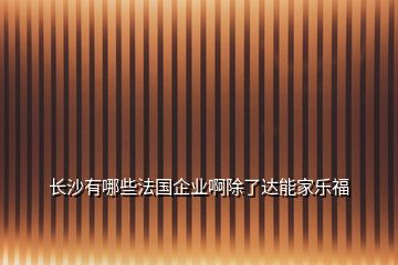 長沙有哪些法國企業(yè)啊除了達能家樂福