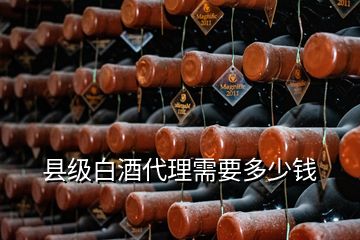 縣級(jí)白酒代理需要多少錢(qián)