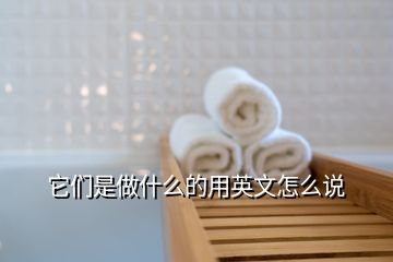 它們是做什么的用英文怎么說