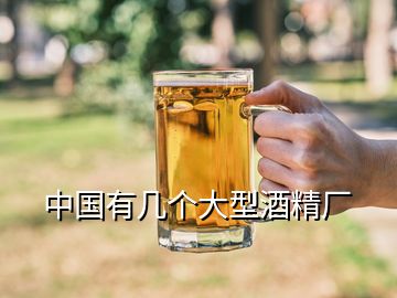 中國(guó)有幾個(gè)大型酒精廠