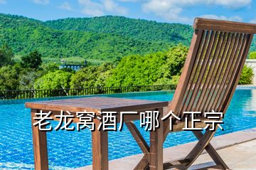 老龍窩酒廠哪個(gè)正宗