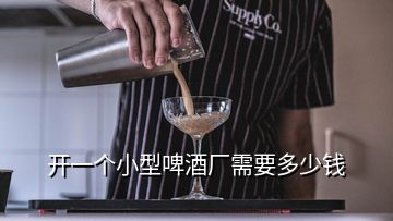 開一個小型啤酒廠需要多少錢