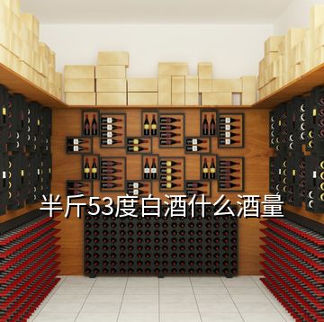 半斤53度白酒什么酒量