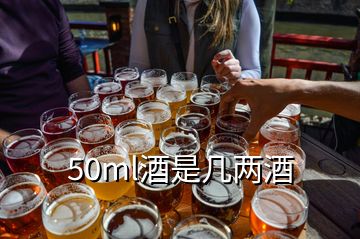 50ml酒是幾兩酒