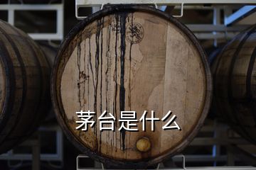 茅臺(tái)是什么