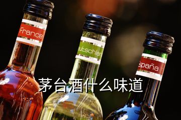 茅臺(tái)酒什么味道