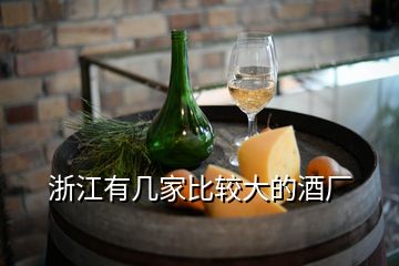 浙江有幾家比較大的酒廠