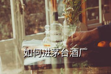 如何進(jìn)茅臺(tái)酒廠