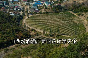 山西汾酒酒廠是國(guó)企還是央企