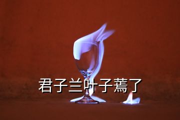 君子蘭葉子蔫了