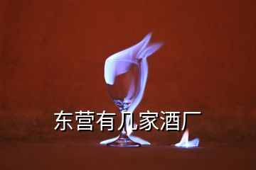 東營(yíng)有幾家酒廠