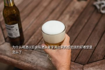 為什么喝酒以后會有酒從胃里漏出來的感覺燒的好難受是怎么了