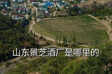 山東景芝酒廠是哪里的