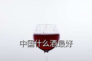 中國(guó)什么酒最好