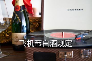 飛機帶白酒規(guī)定