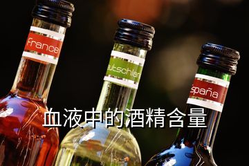 血液中的酒精含量