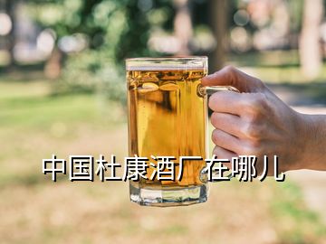 中國杜康酒廠在哪兒