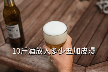 10斤酒放入多少五加皮漫