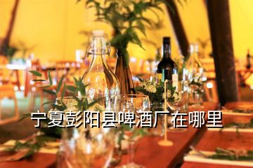 寧夏彭陽(yáng)縣啤酒廠在哪里