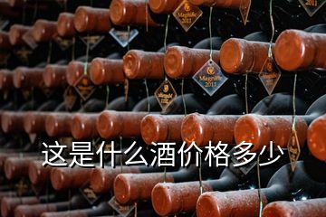 這是什么酒價(jià)格多少