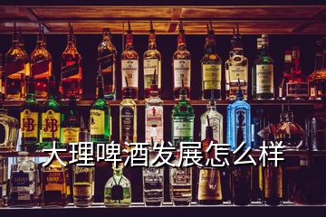 大理啤酒發(fā)展怎么樣