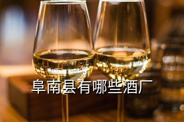 阜南縣有哪些酒廠