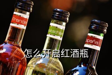 怎么開啟紅酒瓶