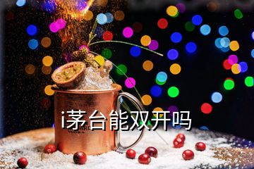 i茅臺能雙開嗎