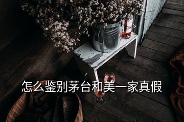 怎么鑒別茅臺和美一家真假