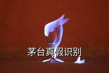 茅臺真假識別