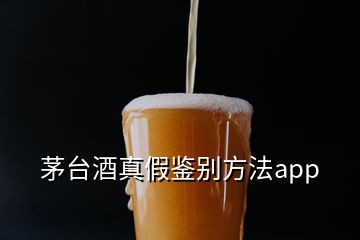 茅臺(tái)酒真假鑒別方法app