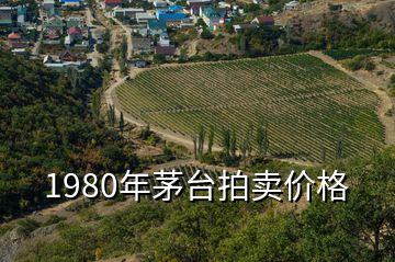 1980年茅臺拍賣價格