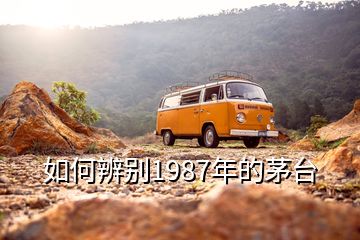 如何辨別1987年的茅臺