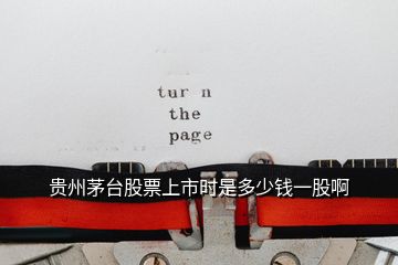 貴州茅臺(tái)股票上市時(shí)是多少錢一股啊