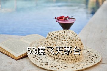 53度飛天茅臺(tái)