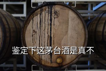 鑒定下這茅臺酒是真不