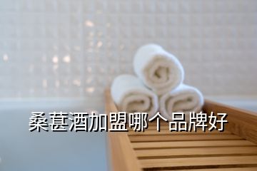 桑葚酒加盟哪個(gè)品牌好